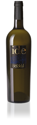 Mini ide vermentino barricato tenute delogu