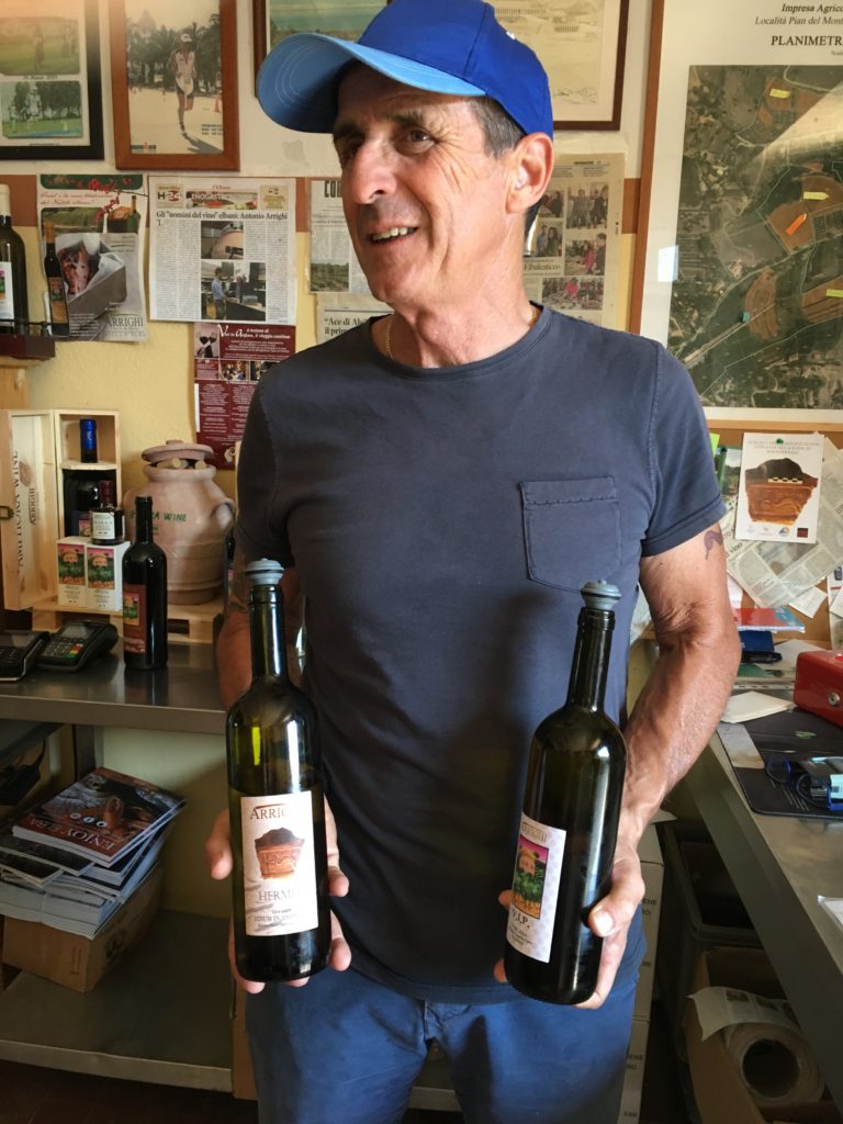 Arrighi Wines