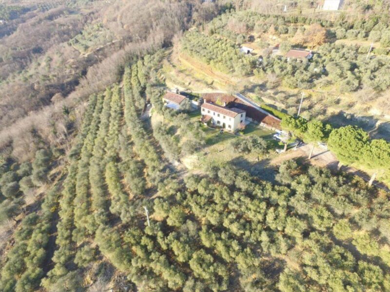 petrarca-holiday-house-matteo-zanato-colli-euganei