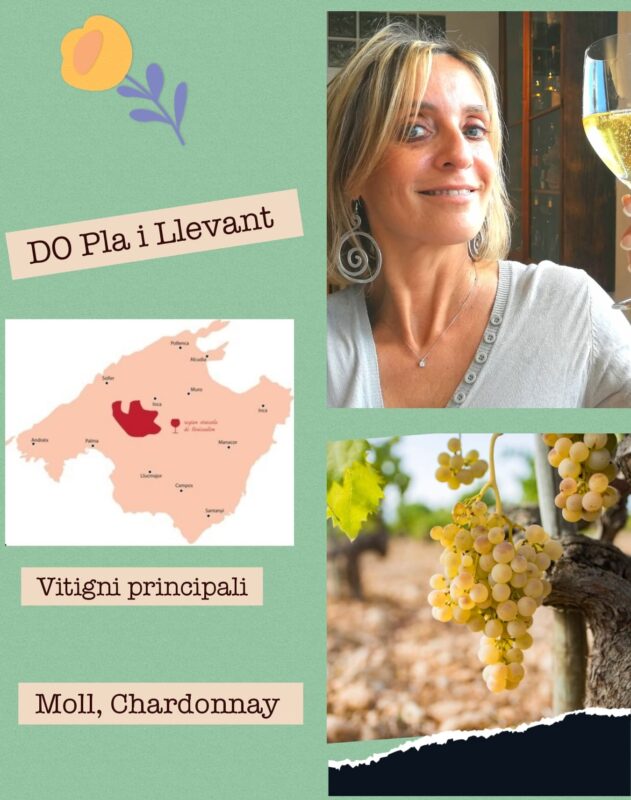 do-plai-i-maiorca-wine-travel-blog-weloveitalyeu