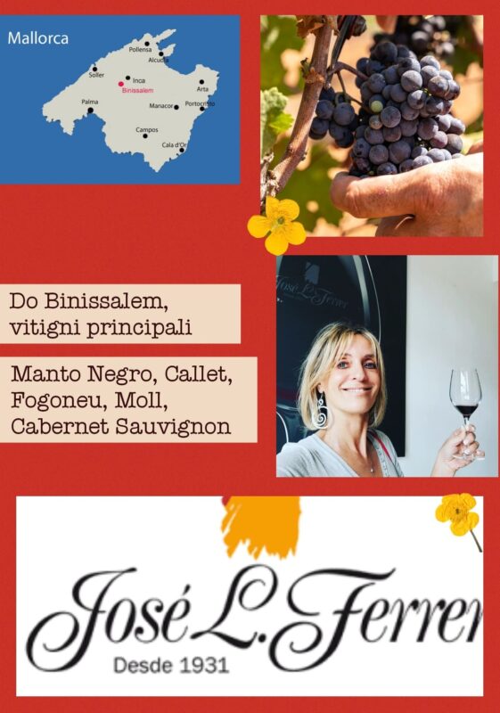 do-benissalem-maiorca-wine-travel-blog-weloveitalyeu