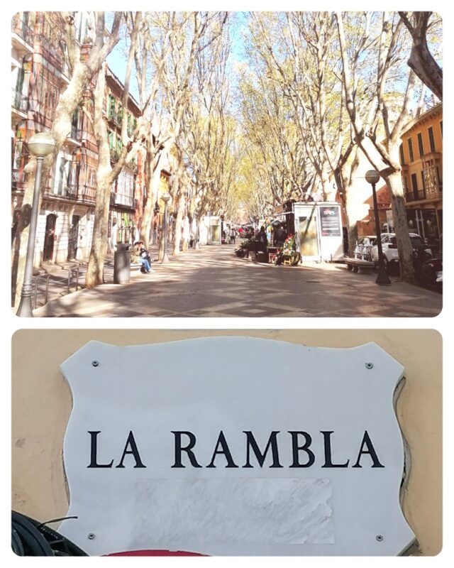 la-rambla-palma-di-maiorca-wine-travel--blog-weloveitalyeu