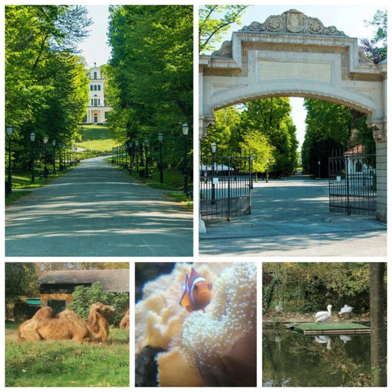 parco-maksimir-zoo-zagabria-in-un-weekend-wine-travel-blog-weloveitalyeu