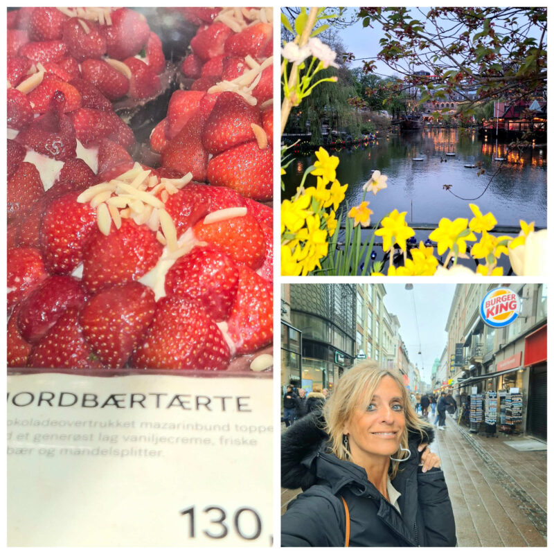 tivoli-copenhagn-wine-tavel-blog-weloveitalyeu