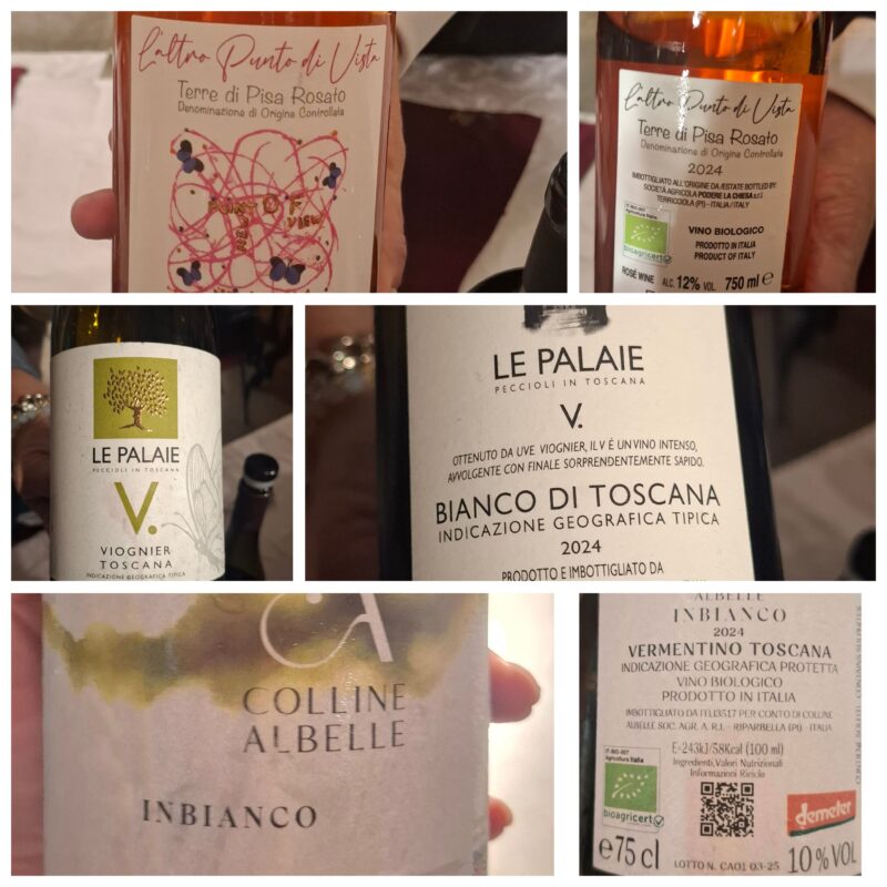 viognier-le-palaie-pisani-piu-schietti-04-ottobre-2025-wine-travel-blog-weloveitalyeu