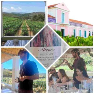 cantina-anastasia-rodi-embonas-valle-delle-farfalle-wine-travel-blog-weloveitalyeu